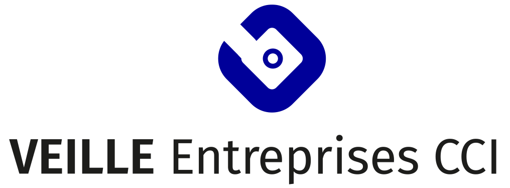 Logo Veille Entreprise CCI 2